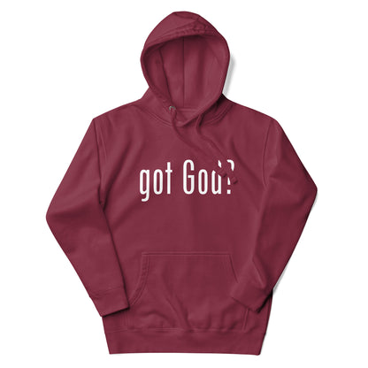 got God? Hoodie